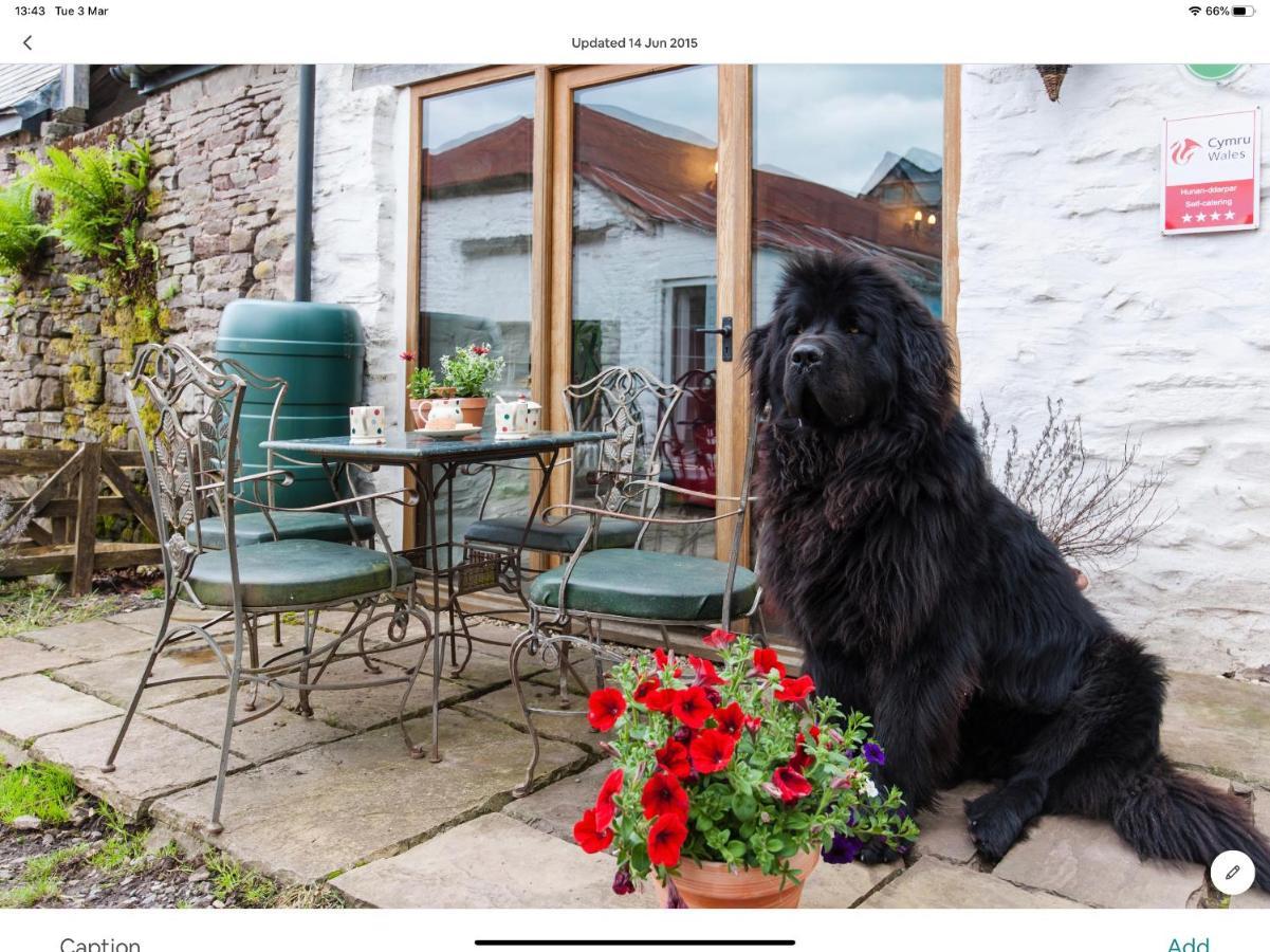 Ty Fferm Hen, Ancient Farmhouse, Coity Bach Talybont-on-Usk Exteriér fotografie